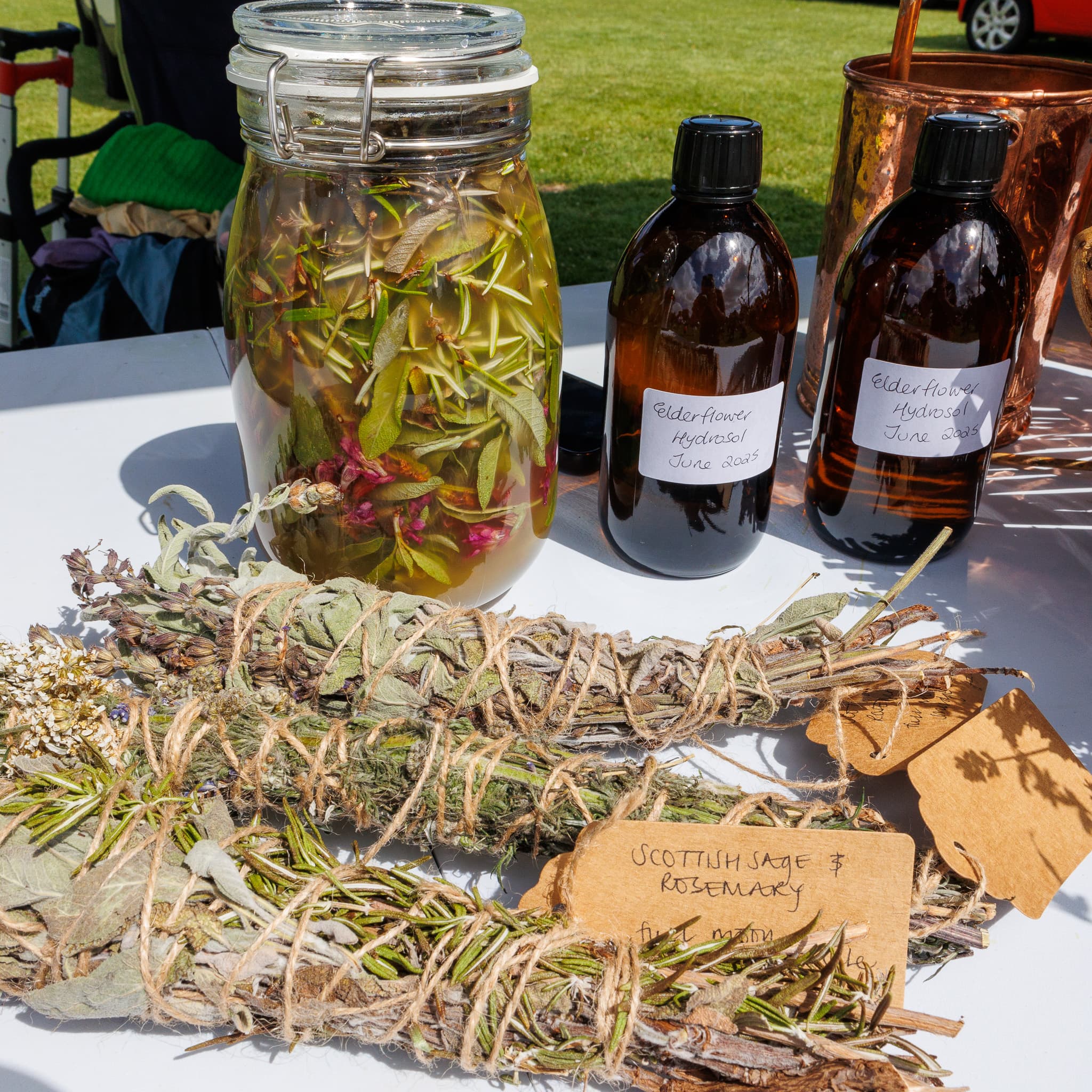 Herb & Soul foraging walks and herbal medicine workshops