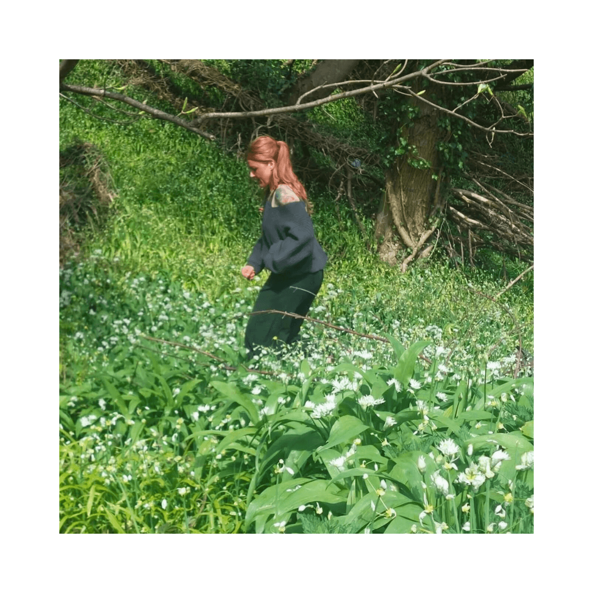 Karen foraging wild garlic in Scotland