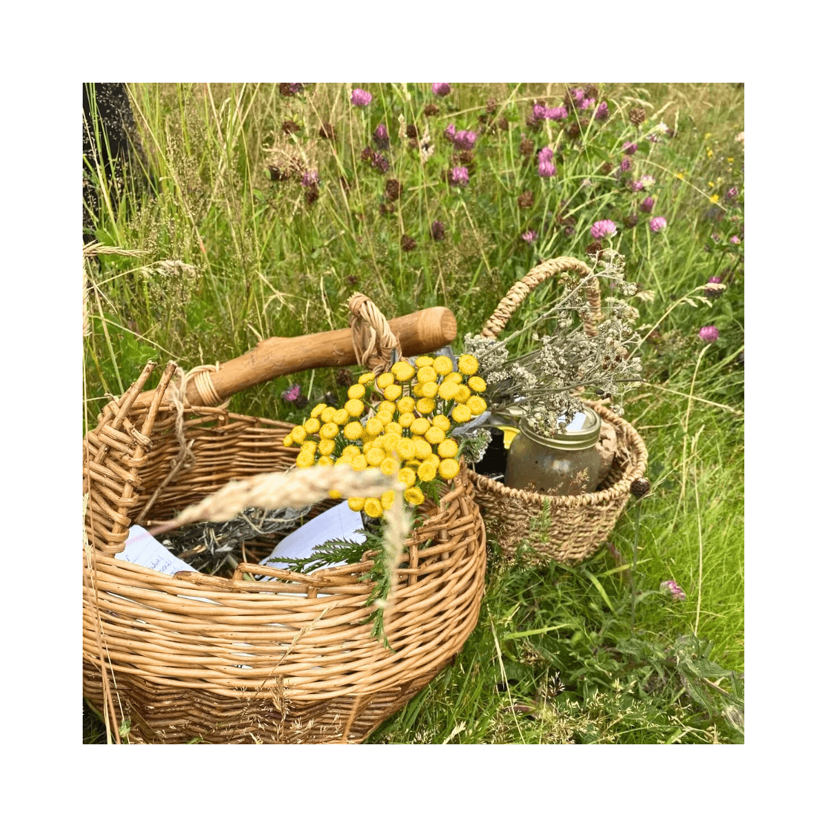 Wellness event with foraging baskets in meadow